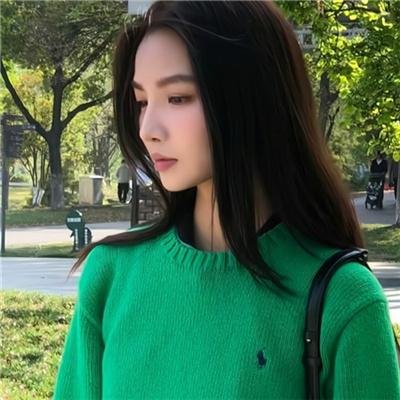 飞燕惊鸿
