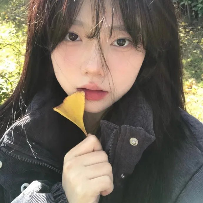 灵探特莱丝